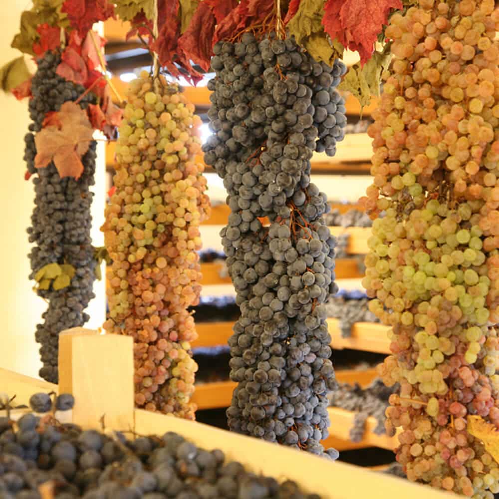 Azienda Agricola Giuseppe Quintarelli: Amarone della Valpolicella Classico DOCG