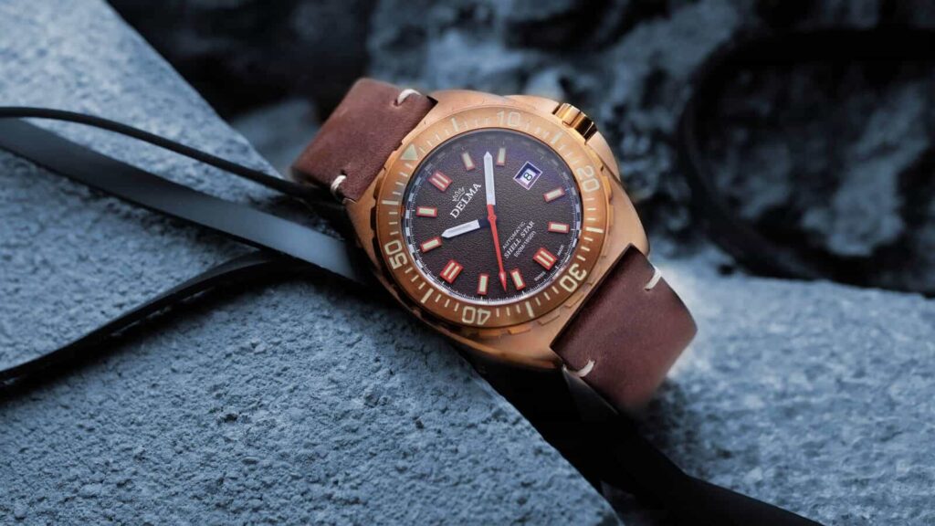 Delma Shell Star Bronze