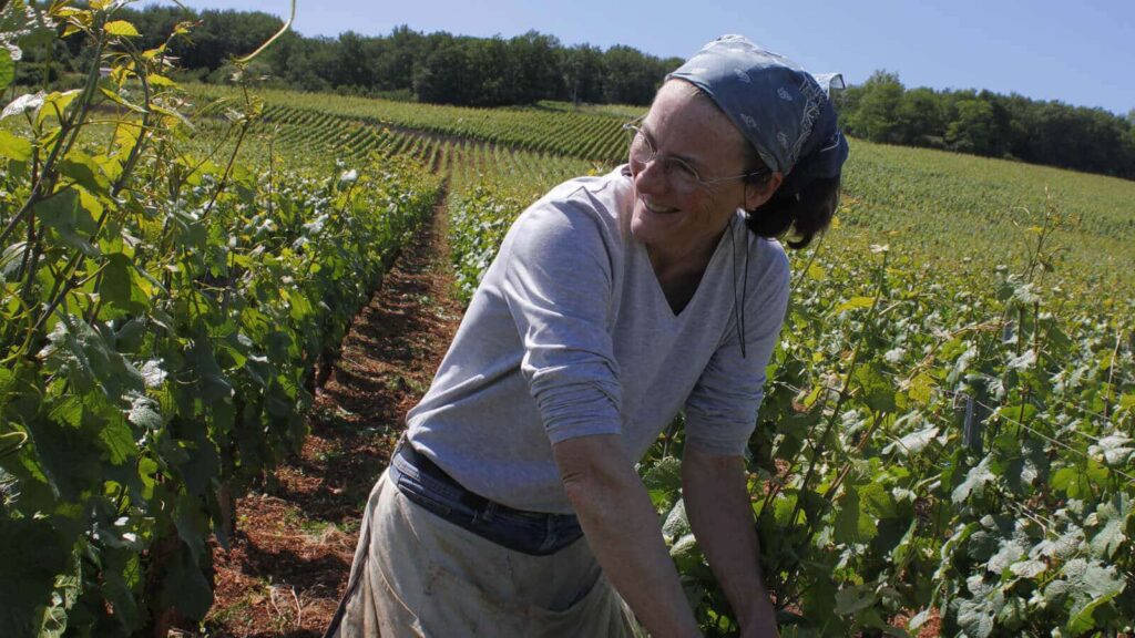 2017 Domaine Henri Naudin-Ferrand Bourgogne Hautes Côtes de Beaune Orchis Mascula