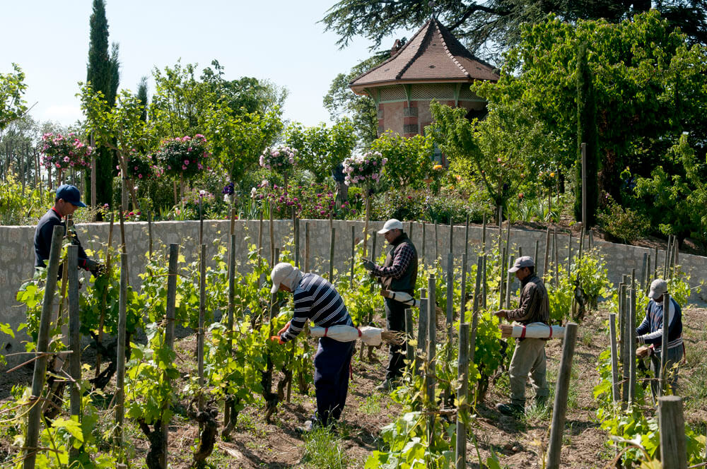 Image of Domaine Jean-Louis Chave Hermitage AOC