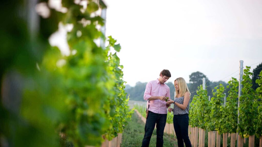 Flint Vineyard