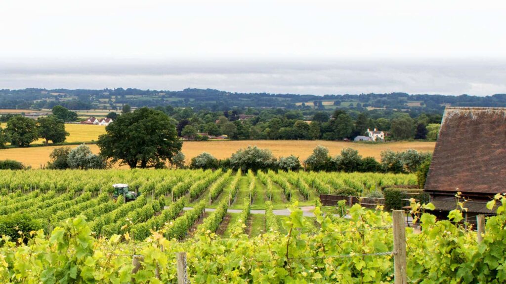 Halfpenny Green Wine