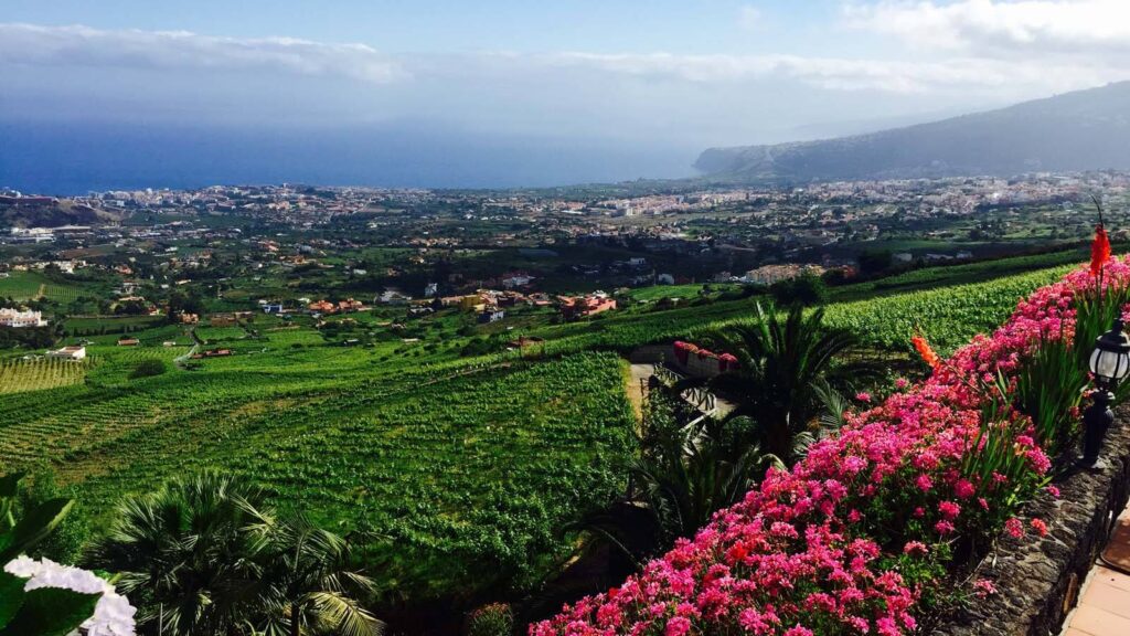 Suertes del Marqués Wines, Valle de la Orotava, Tenerife