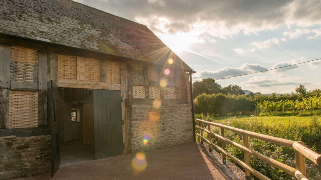 White Castle Vineyard Cymru / Wales