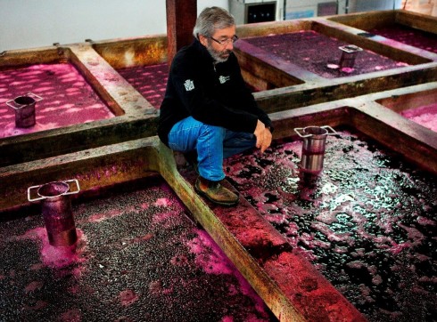 Stephen on the open top fermenters - Dragan Radocaj Henschke: Hill of Grace Shiraz