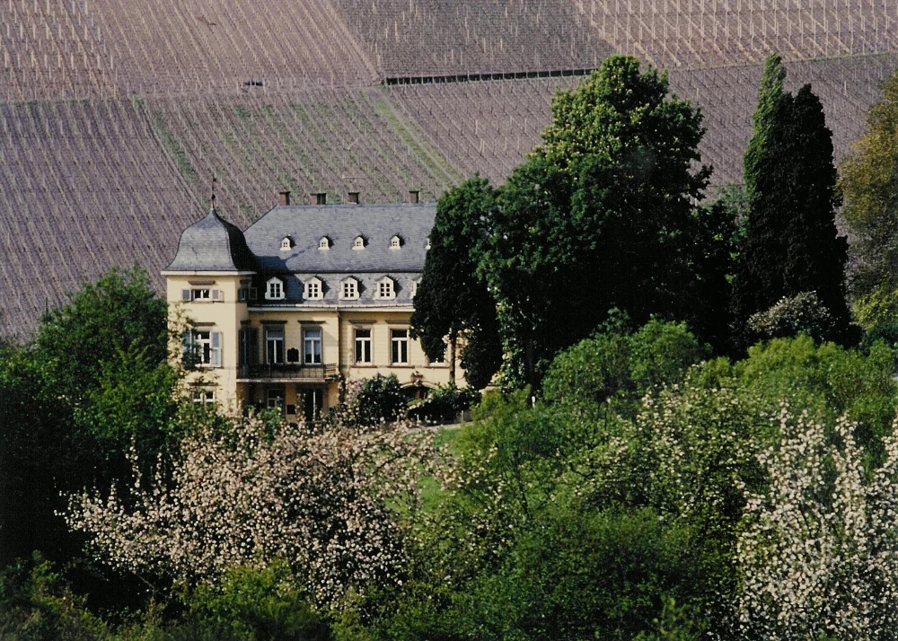 Egon Mueller Scharzhofberger Riesling