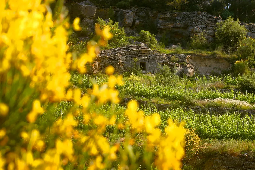 Gérard Bertrand Minervois La Livinière Le Viala