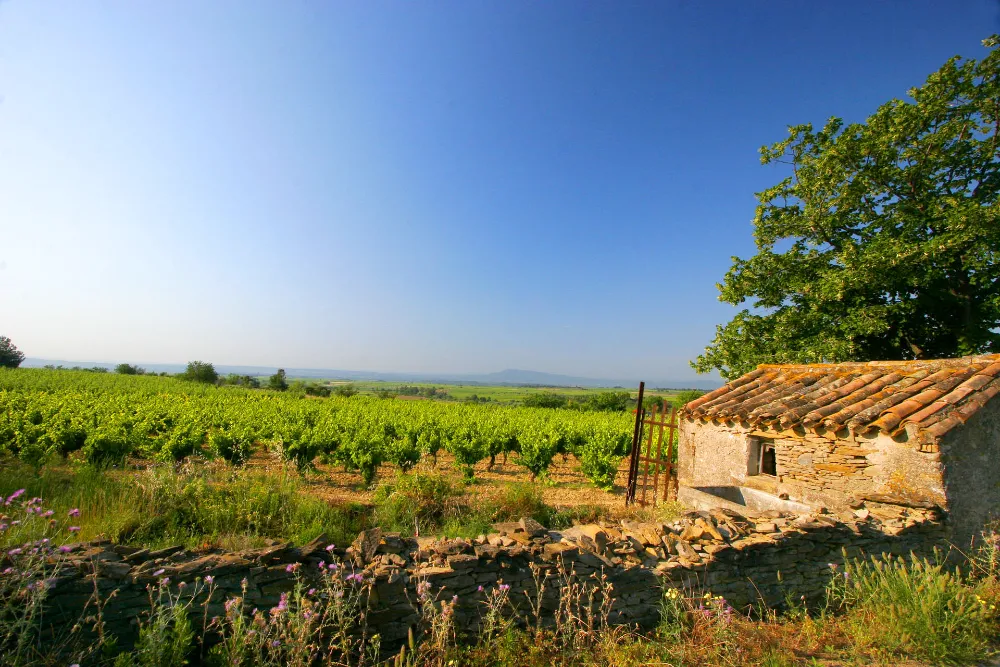 Gérard Bertrand Minervois La Livinière Le Viala