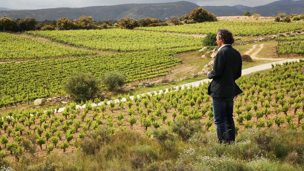 Gérard Bertrand Minervois La Livinière Le Viala